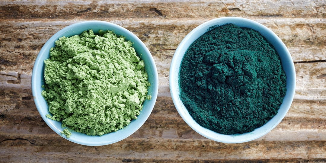 Chlorella or Spirulina: Which microalgae is better for you?