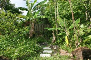 Good things (hopefully) come to those who wait...