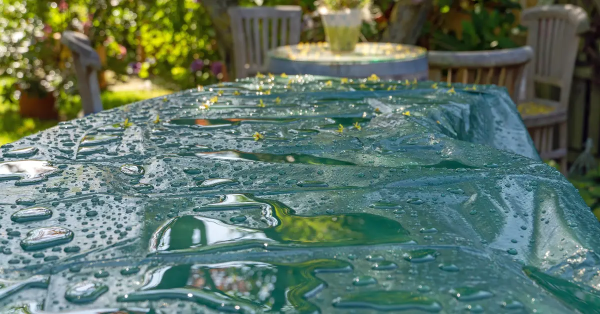 Heavy rain after planting in the garden: here's how to protect your garden