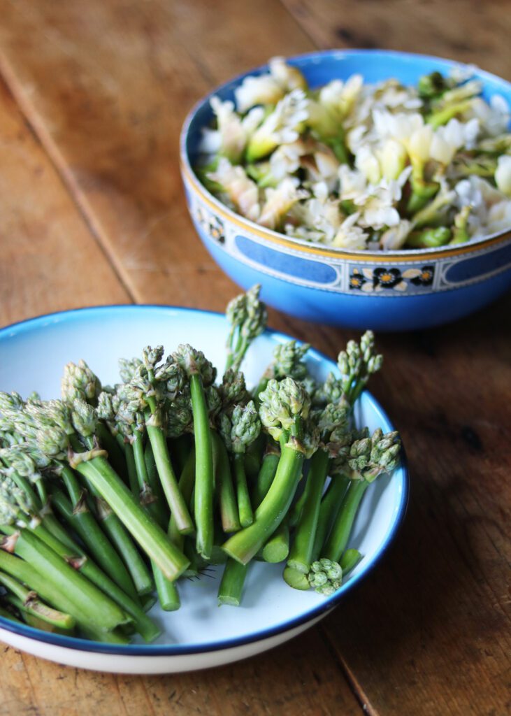 Veldokor on the menu: a delicious vegetable that grows wild in South Africa