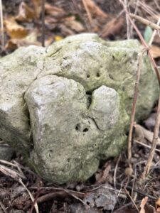 A simple first step to forgive yourself