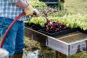 A step-by-step guide to making inexpensive raised garden beds