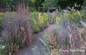 Autumn in the summer home garden, part 1
