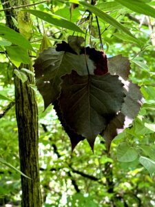 Don't forget to plan after the holidays