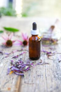 Echinacea root and flower tincture for cold and flu season