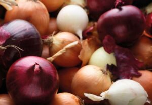 Grow your own onion set and save money