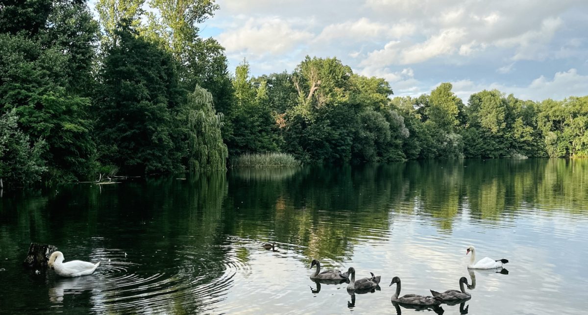 How to find silence in a noisy world