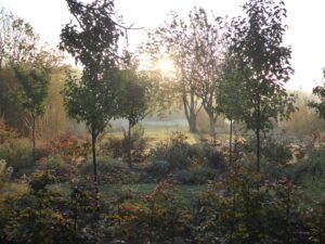 My fall chores: finding the balance between nature and order