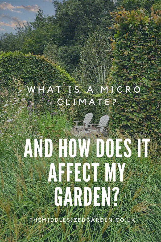 Right plant, wrong place? How to create the ideal garden microclimate