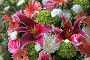 The best houseplants and flowers to boost mental well-being