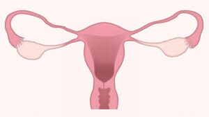 The role of antioxidants in women's cervical health