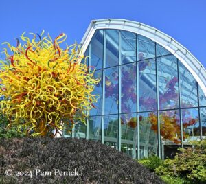 Through the mirror at Chihuly Garden and Glass