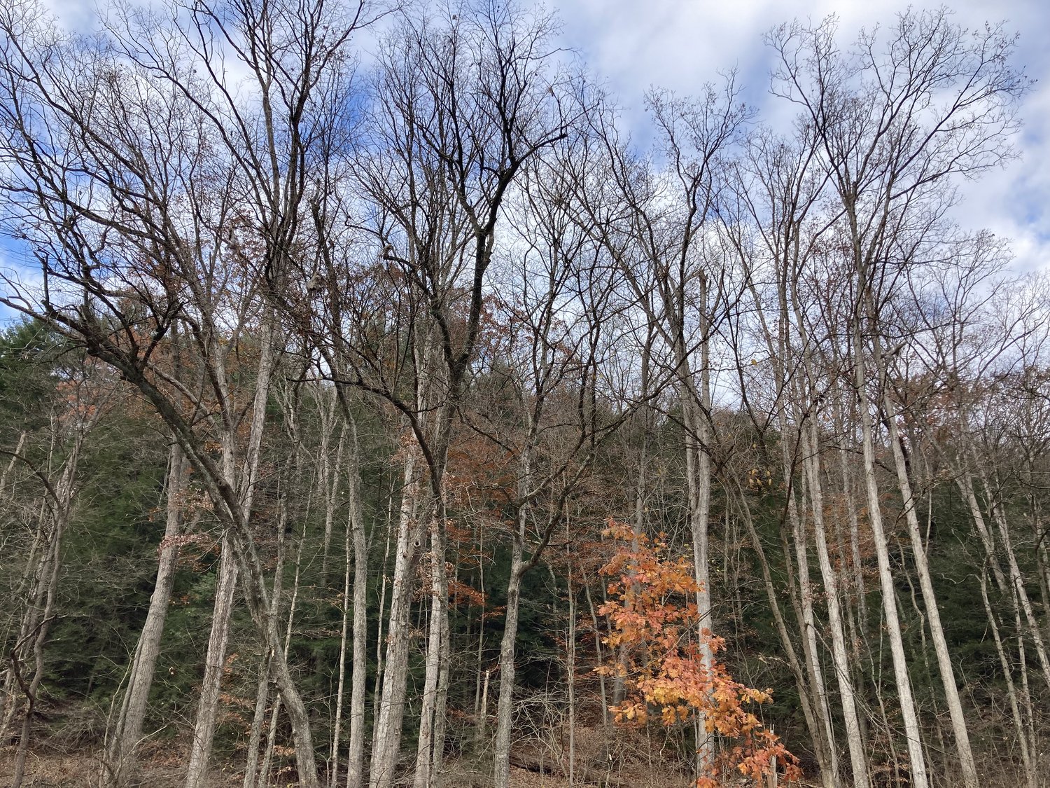 When life is in a dry season