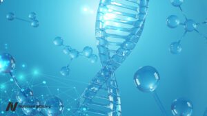 epigenetics and obesity