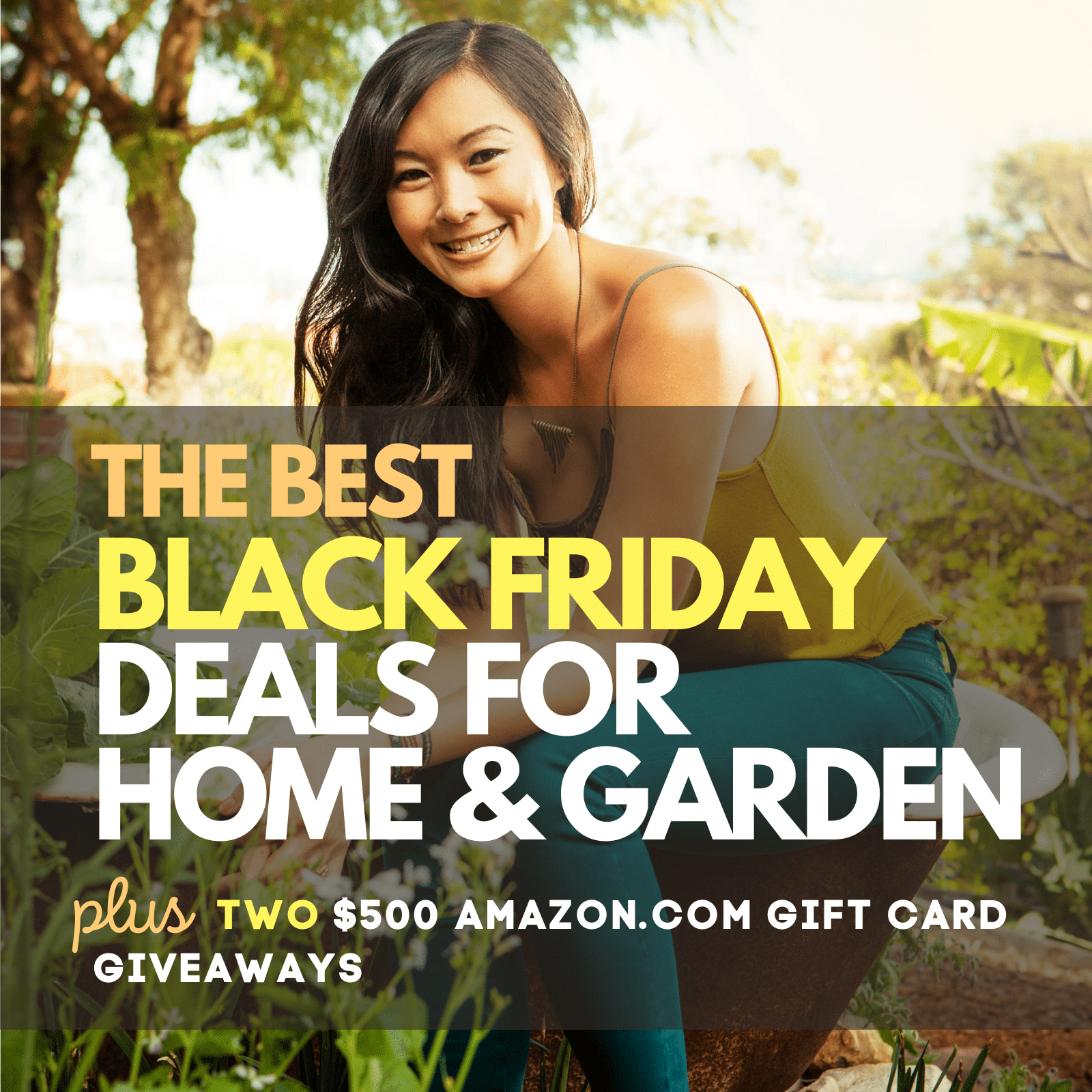 Amazon's best Black Friday deals for your home and garden