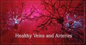 Best vitamins for veins and arteries