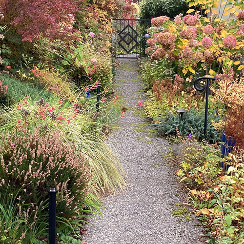 Late October at Cleo's Back Garden