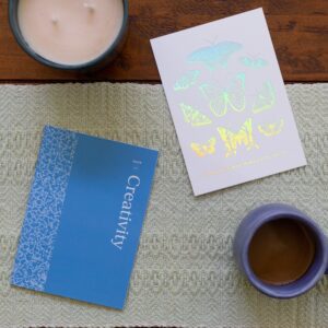 Q&A with Flavia Meyer