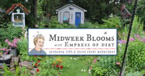 Sign up for Midweek Blooms - new topics every Wednesday