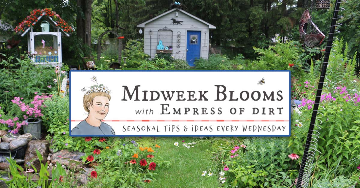 Sign up for Midweek Blooms - new topics every Wednesday