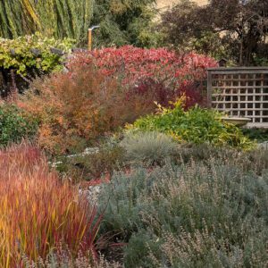 Wendy's Fall Garden in the Okanagan Valley