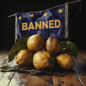 Why is monk fruit banned in Europe? – Groovy Keto