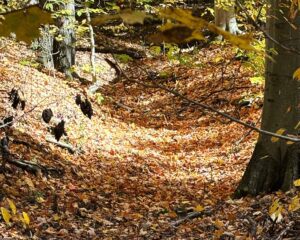 Will our inner thoughts become our superpower rather than our nemesis?