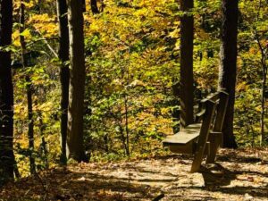 managing election stress