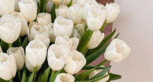 Lessons we must continue to learn