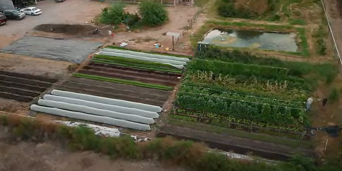 15,000 square feet of market gardening
