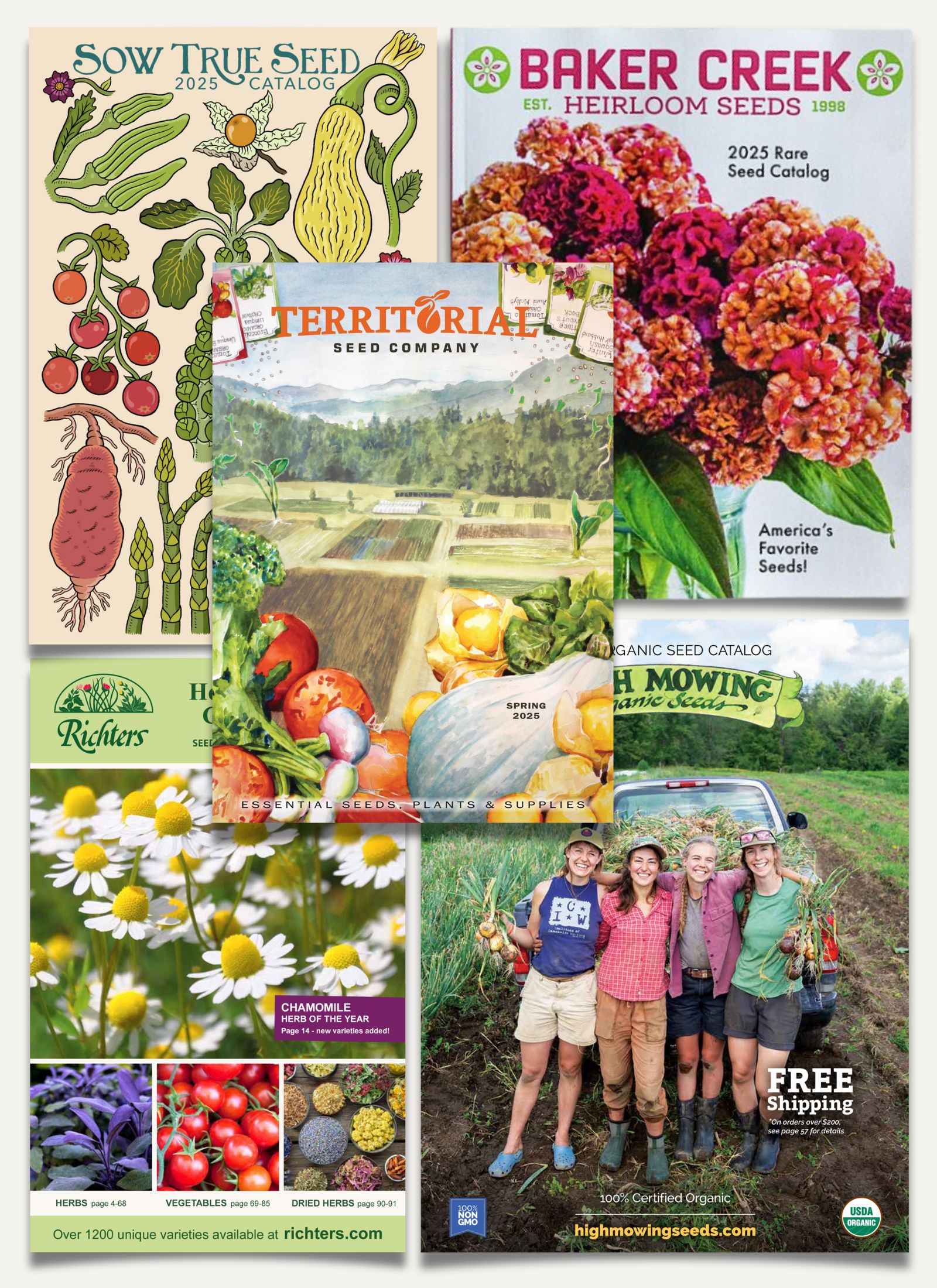 Best Seed Catalogs of 2025, According to Horticulture Experts