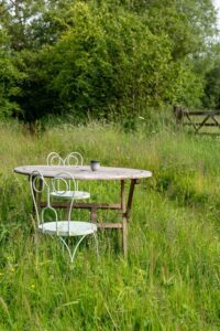 Discover the magic of wild gardens