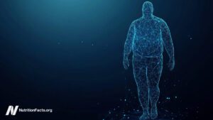 Exploring the paradox of obesity