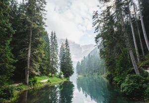 How will forest restoration impact our health? 5 interesting insights
