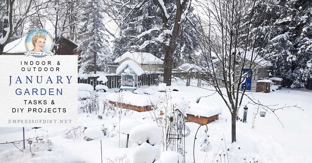 January Garden Checklist: Tasks and DIY Projects
