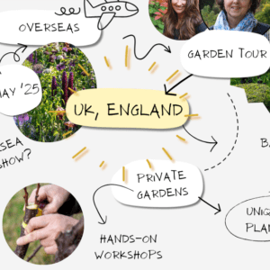 Kevin Bacon, Annie, and Me: The Story of How Garden Tours Come to Life