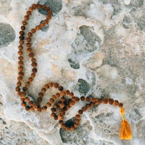 Krishna Das -Pilgrim's heart -EP. 172 -Make practice a way of life