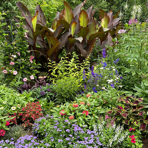 Last summer, a long flower border