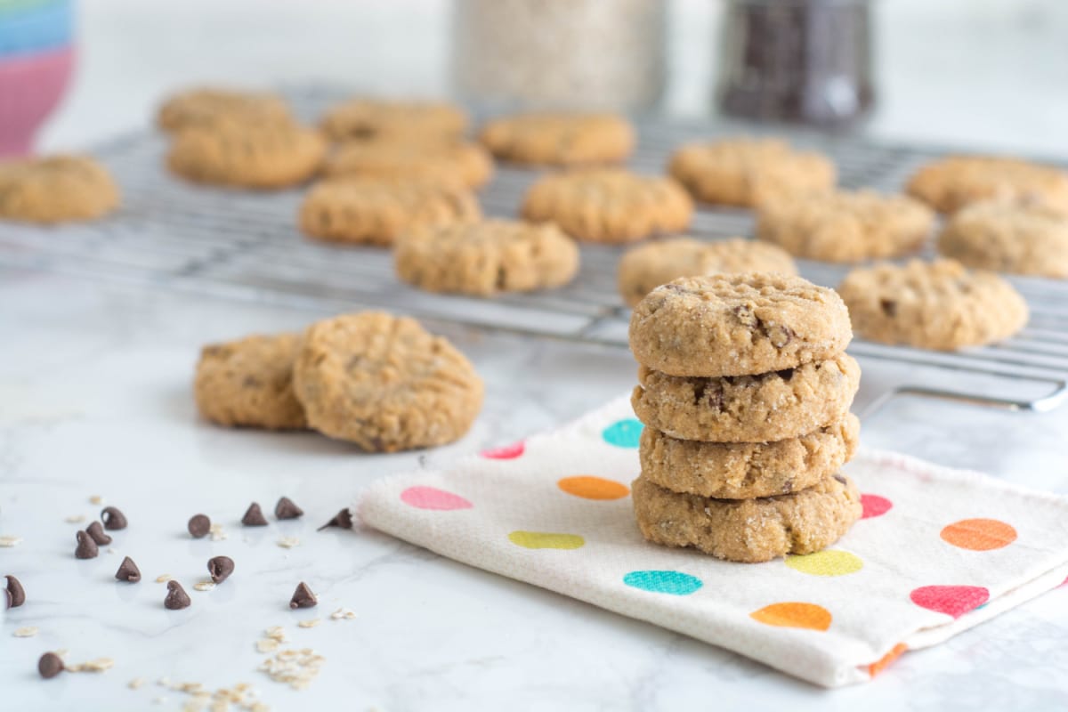 Melt-in-your-mouth peanut butter oatmeal chocolate chip cookies (no flour)