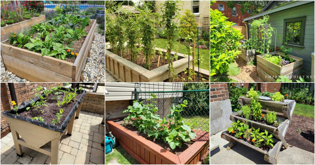 14 tall raised beds and salad table ideas