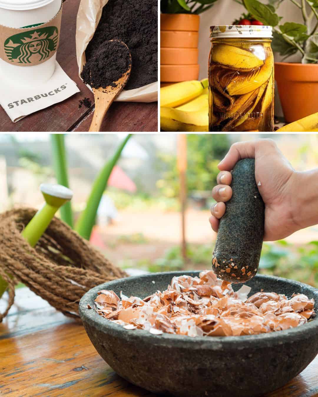 7 7 Days of Household Goods to Promote Indoor Plant Growth