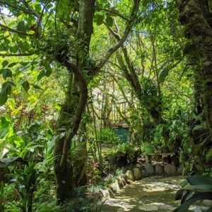 GPOD on the Road: Monteverde Orchid Garden, Part 2