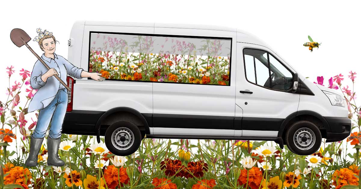 How to move plants in your garden from one house to another