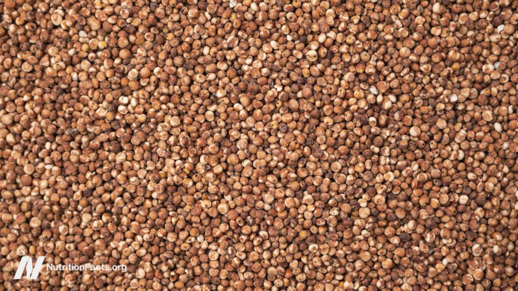 Is sorghum a healthy grain?