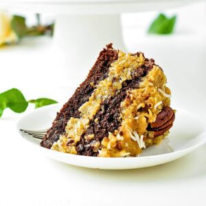 Ketdo Ms. Chocolate Cake (4.2g Net carbohydrate)