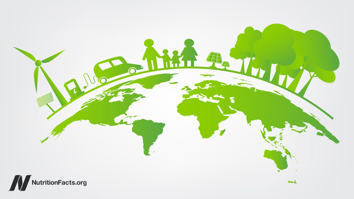 What are the environmental impacts of plant-based meat?