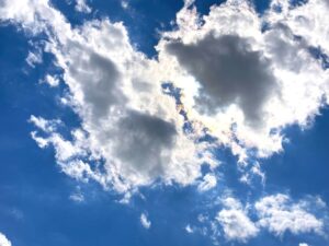 What is your happiness?