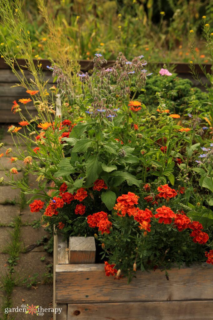 What to put at the bottom of the raised garden bed