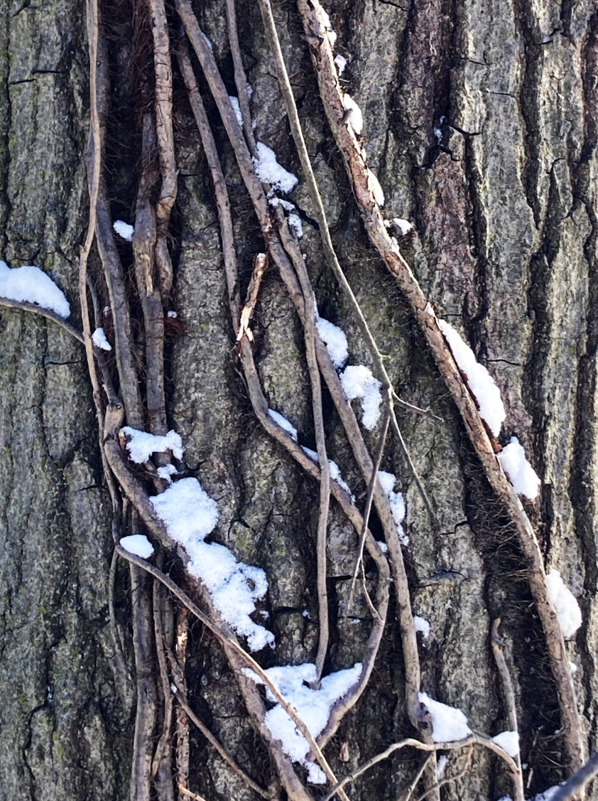 When something big is happening...