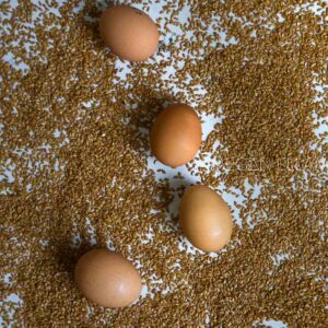 Best egg alternatives for baking